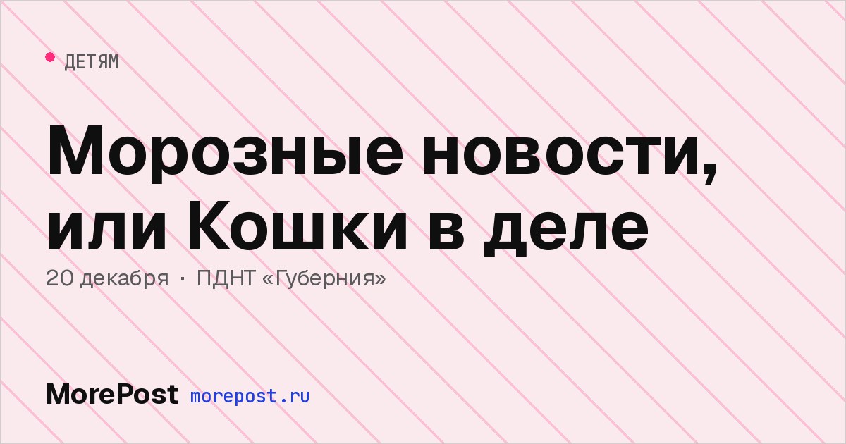 Афиша «Морозные новости, или Кошки в деле»