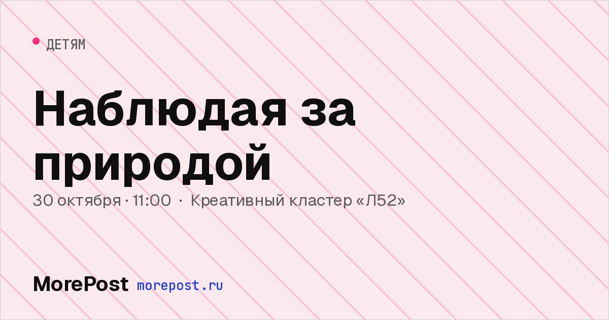 Афиша «Наблюдая за природой»