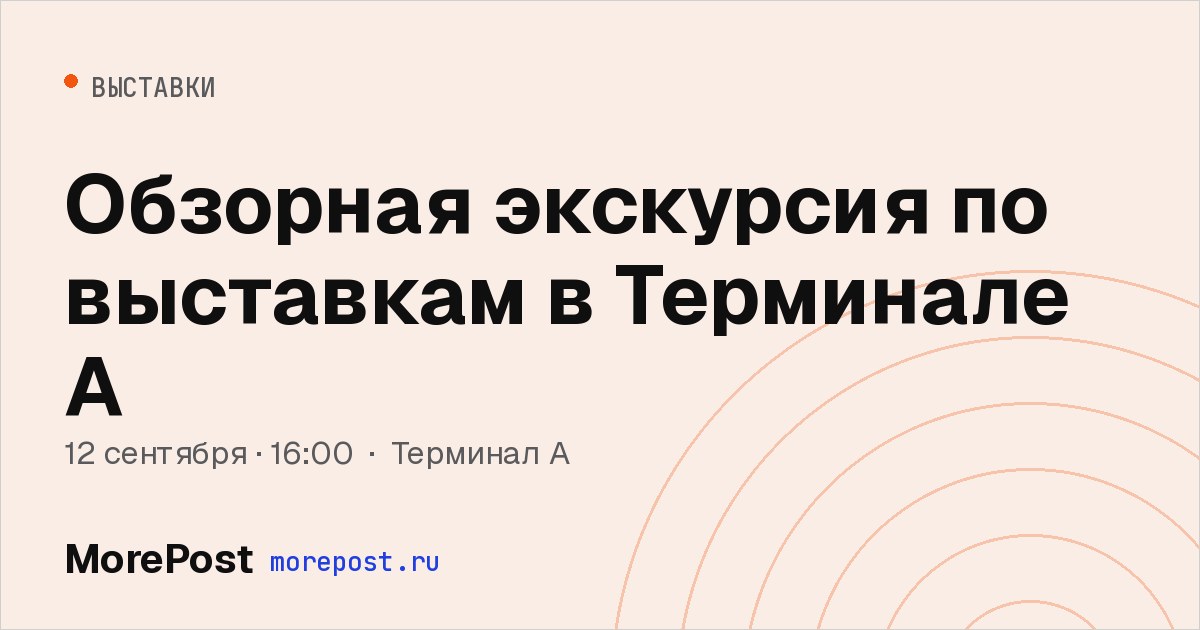 Афиша «Обзорная экскурсия по выставкам в Терминале А»
