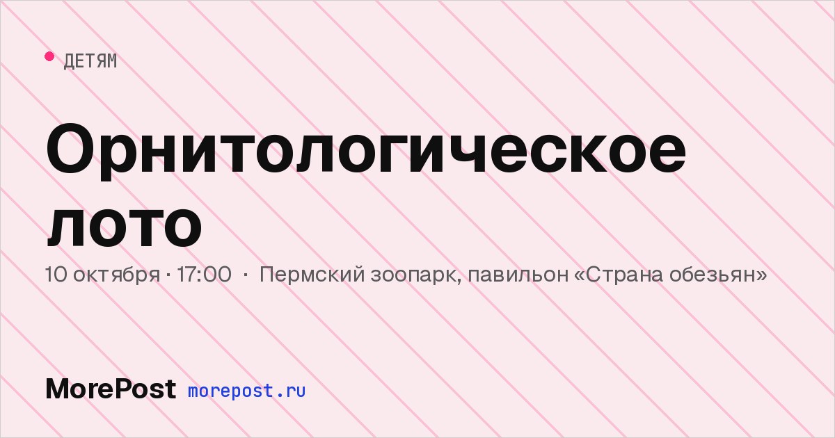 Афиша «Орнитологическое лото»