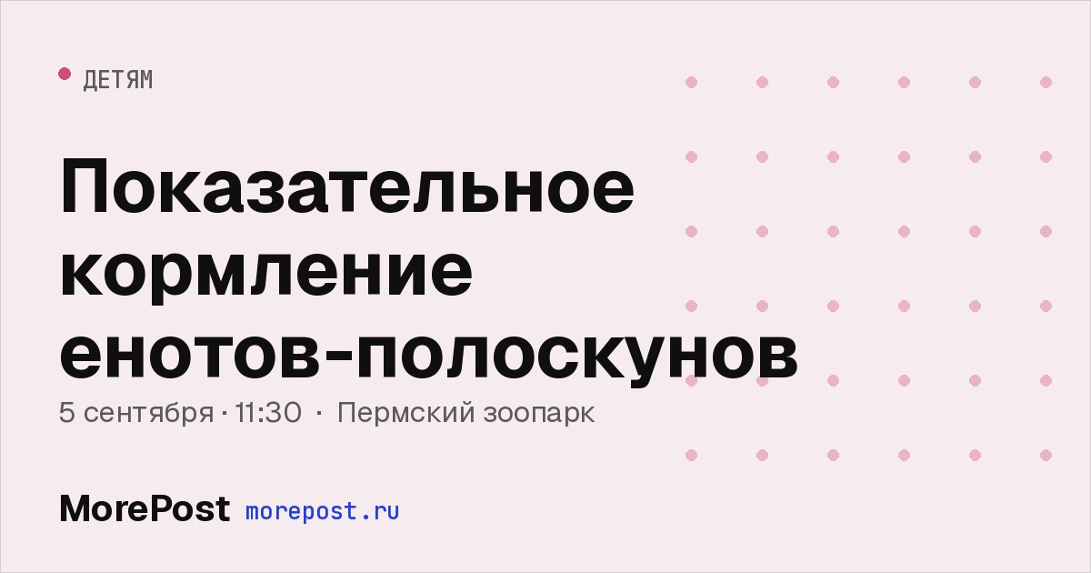 Афиша «Показательное кормление енотов-полоскунов»
