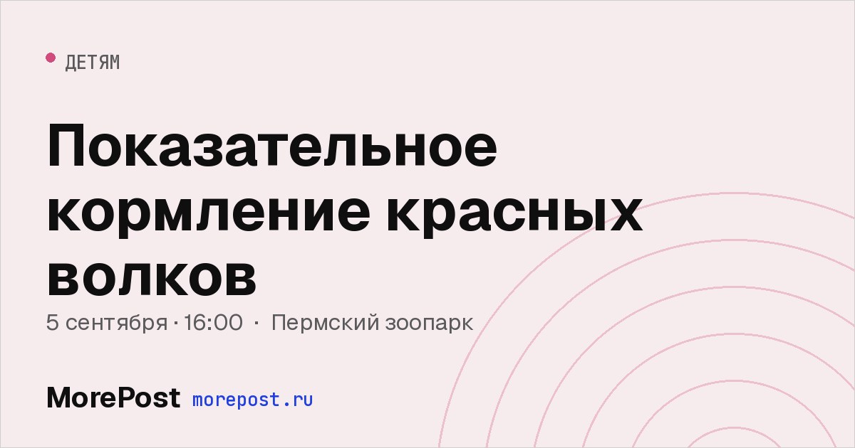 Афиша «Показательное кормление красных волков»