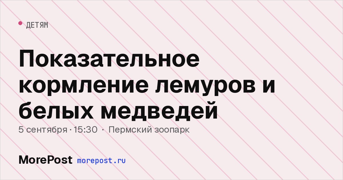 Афиша «Показательное кормление лемуров и белых медведей»