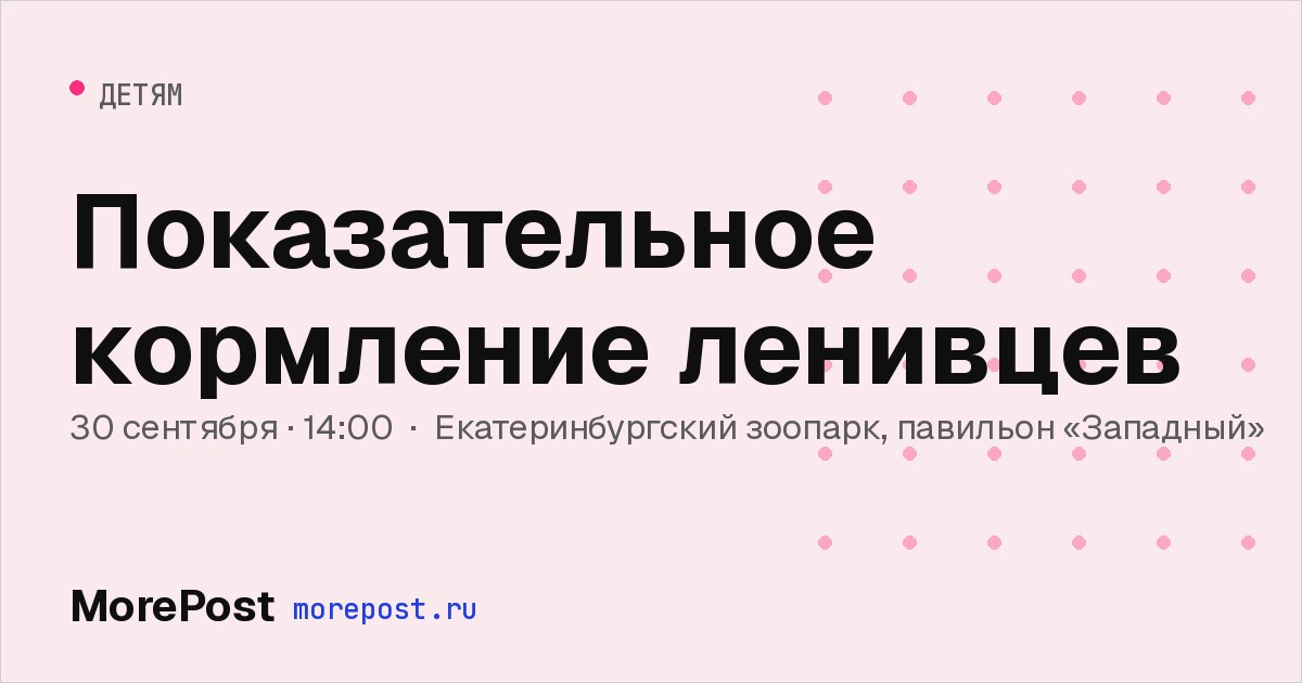 Афиша «Показательное кормление ленивцев»