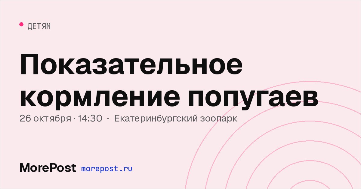 Афиша «Показательное кормление попугаев»