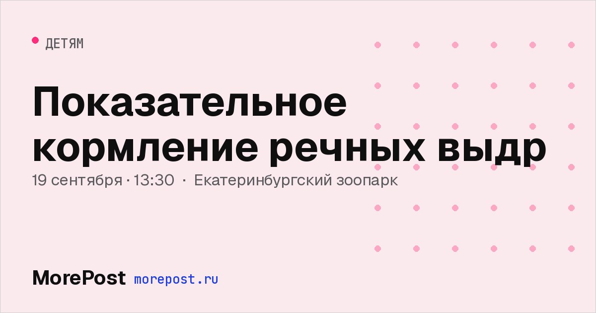 Афиша «Показательное кормление речных выдр»