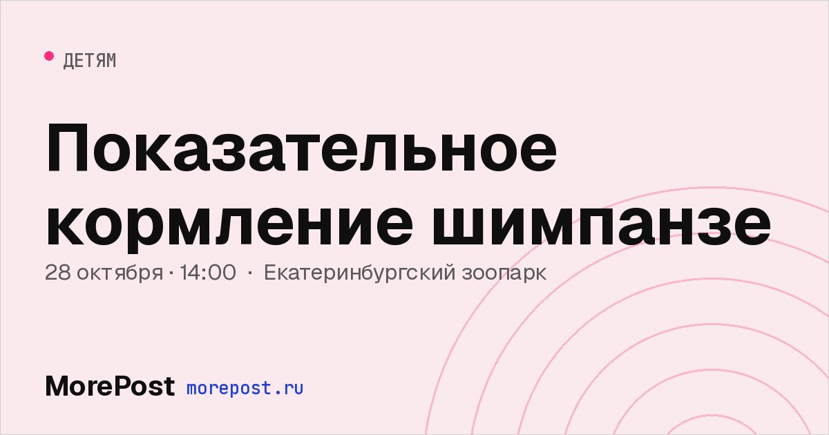 Афиша «Показательное кормление шимпанзе»