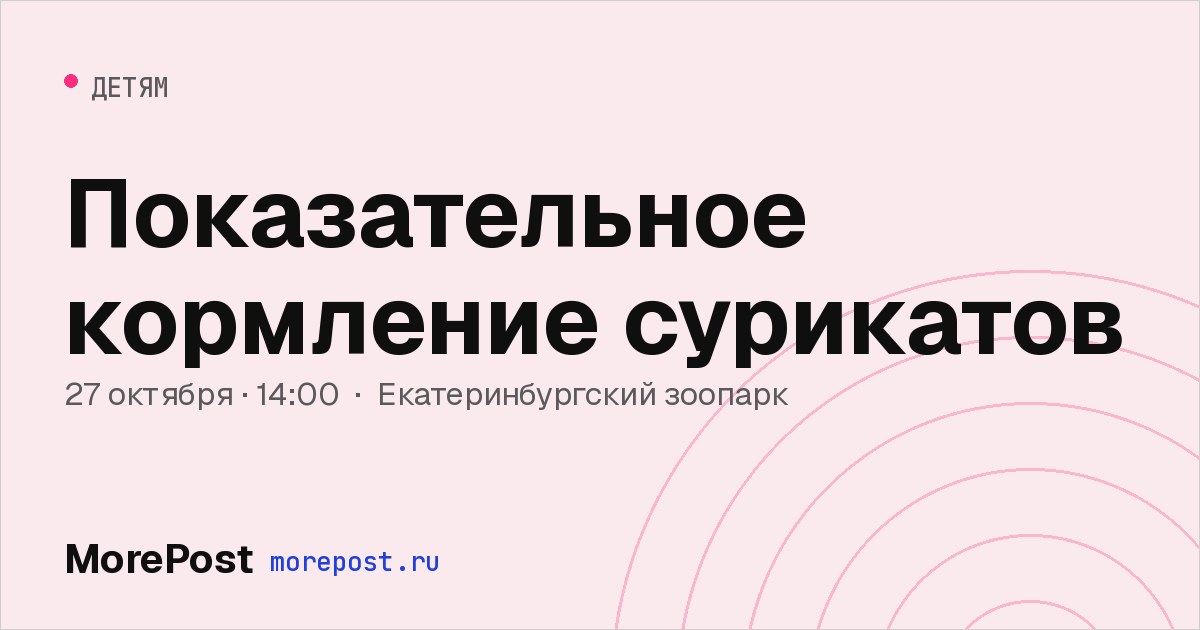 Афиша «Показательное кормление сурикатов»