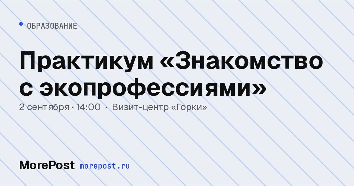 Афиша «Практикум «Знакомство с экопрофессиями»»
