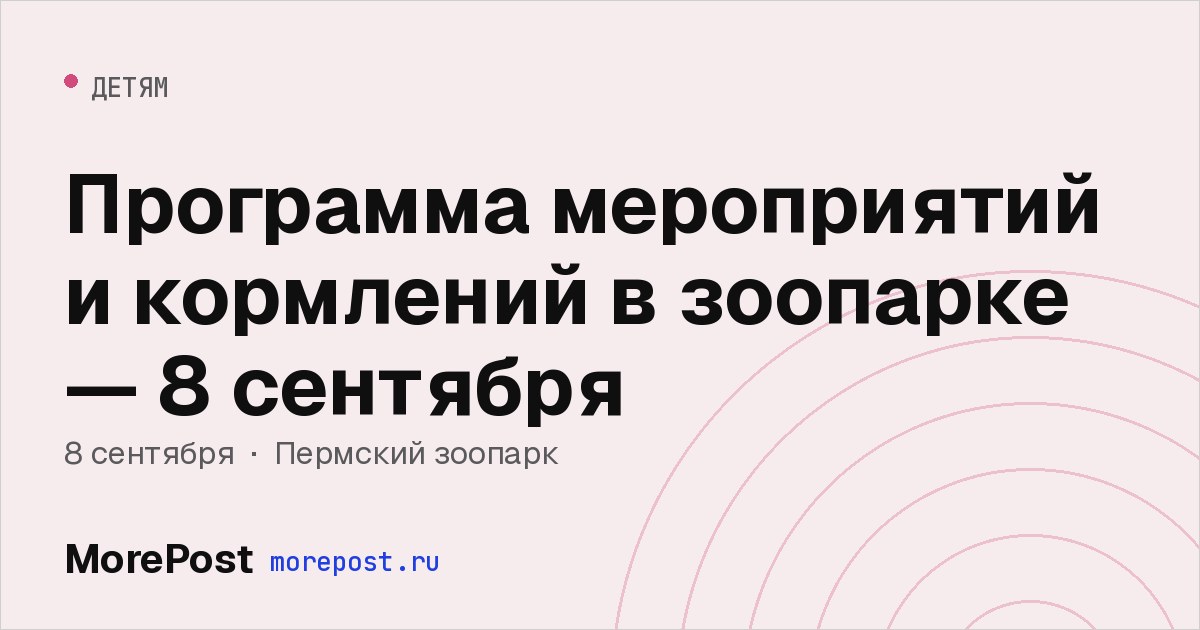 Афиша «Программа мероприятий и кормлений в зоопарке — 8 сентября»