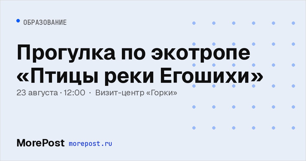 Афиша «Прогулка по экотропе «Птицы реки Егошихи»»