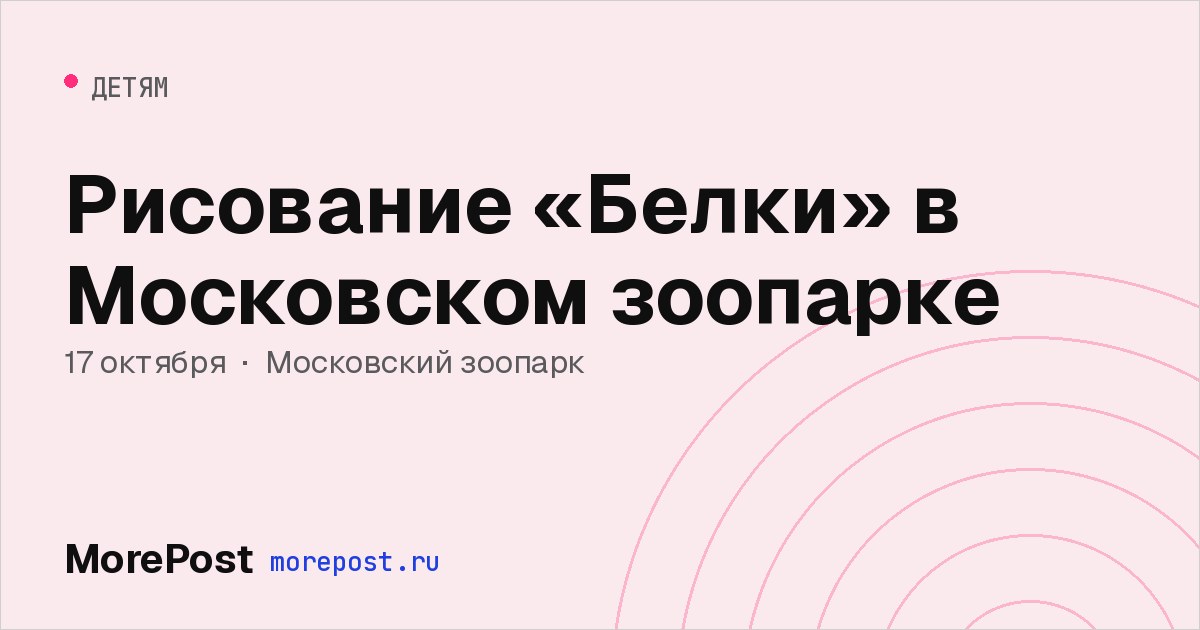 Афиша «Рисование «Белки» в Московском зоопарке»