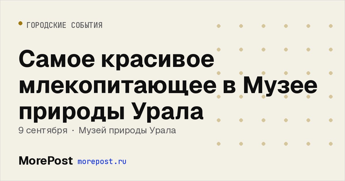 Афиша «Самое красивое млекопитающее в Музее природы Урала»