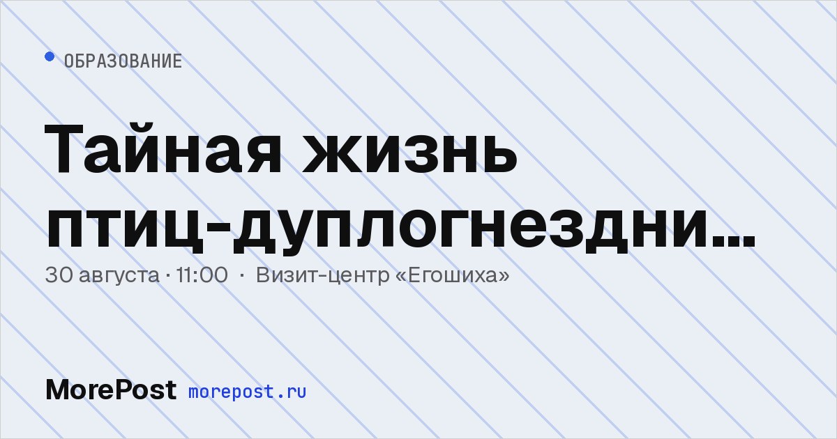 Афиша «Тайная жизнь птиц-дуплогнездников»