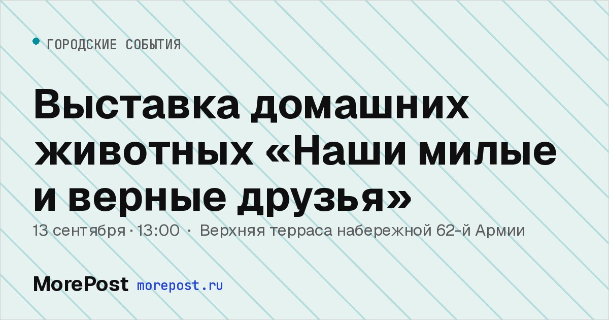 Афиша «Выставка домашних животных «Наши милые и верные друзья»»