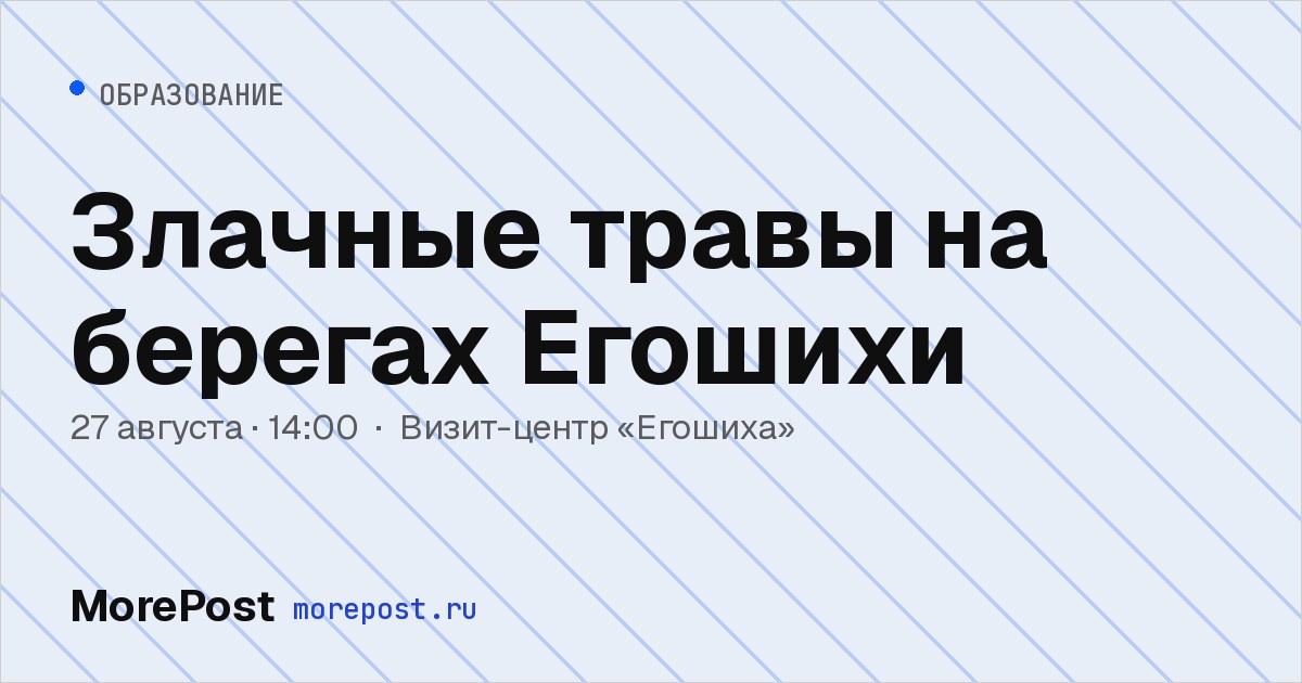 Афиша «Злачные травы на берегах Егошихи»