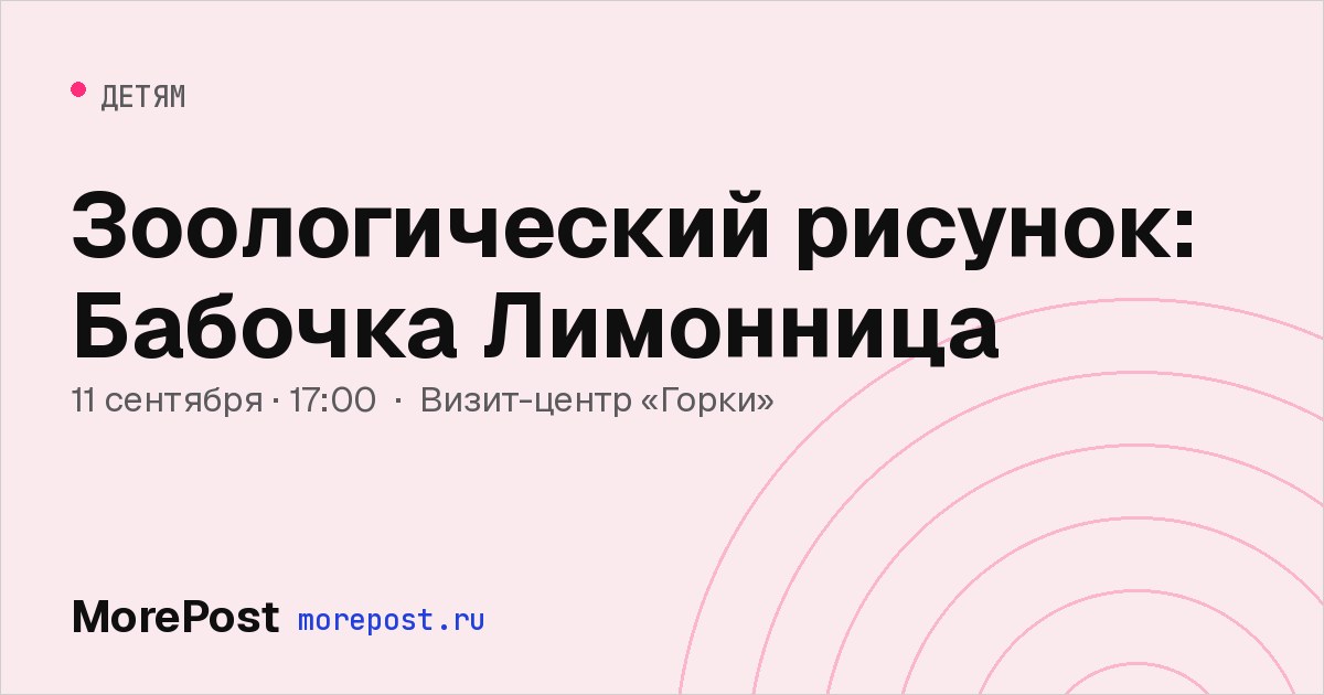 Афиша «Зоологический рисунок: Бабочка Лимонница»