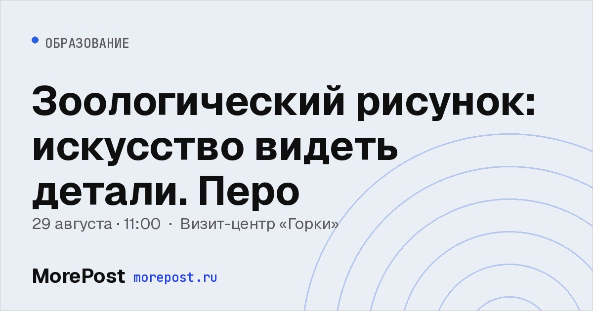 Афиша «Зоологический рисунок: искусство видеть детали. Перо»
