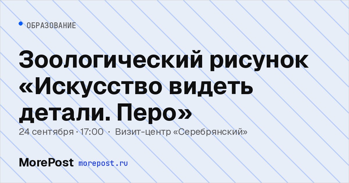 Афиша «Зоологический рисунок «Искусство видеть детали. Перо»»