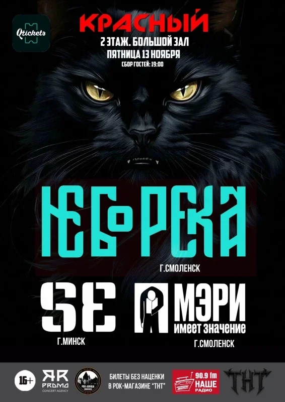 Афиша «13.11.2026 | НеборекА, SE, Мэри Имеет Значение»