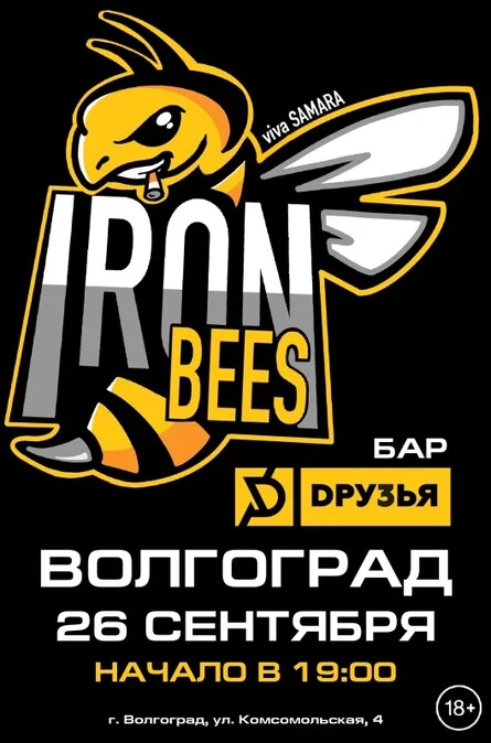 Афиша «17 лет THE IRON BEES! г. Волгоград»