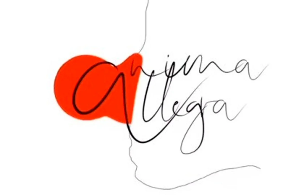 Афиша «Абонемент на ФЕСТИВАЛЬ ПЛАСТИЧЕСКОЙ ДРАМЫ «АНИМА АЛЛЕГРА»: Праздник светлой клоунады»