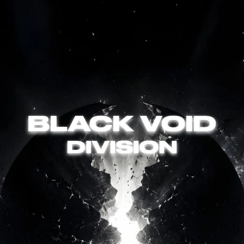 Афиша «BLACK VOID DIVISION»