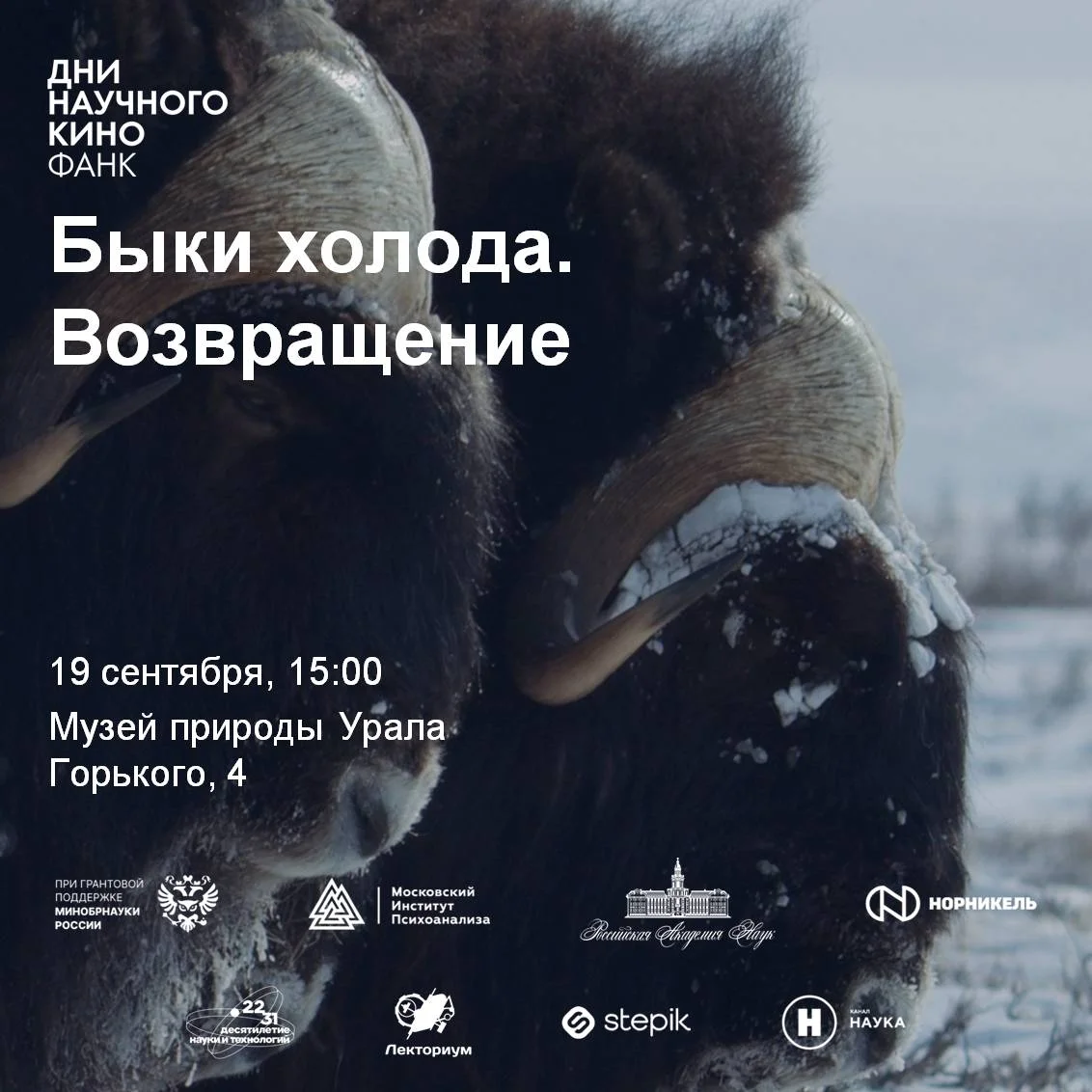 Афиша «Быки холода. Возвращение»