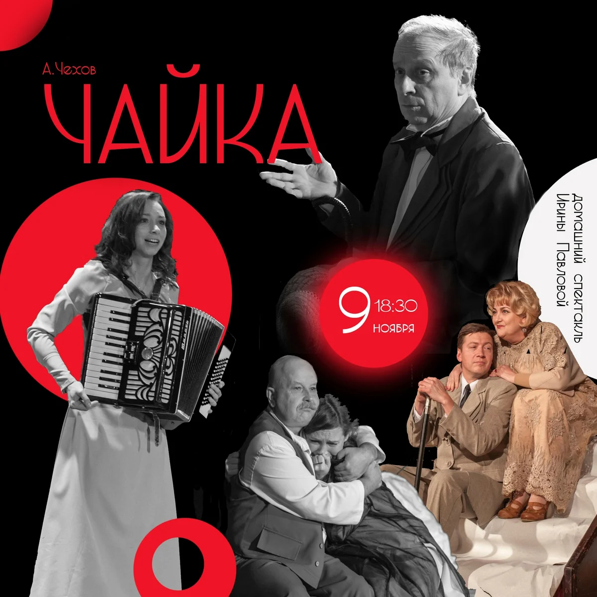 Афиша «Чайка»