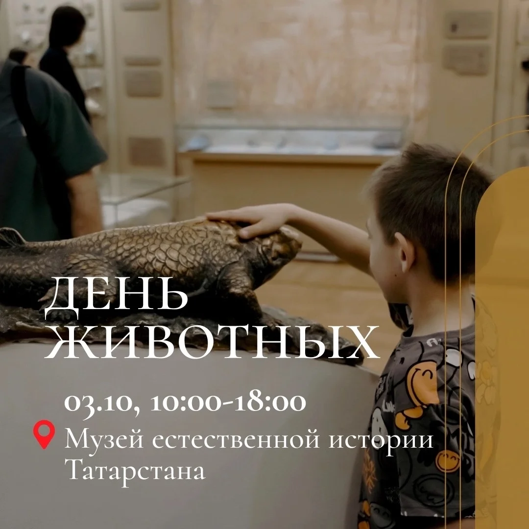 Афиша «День животных»