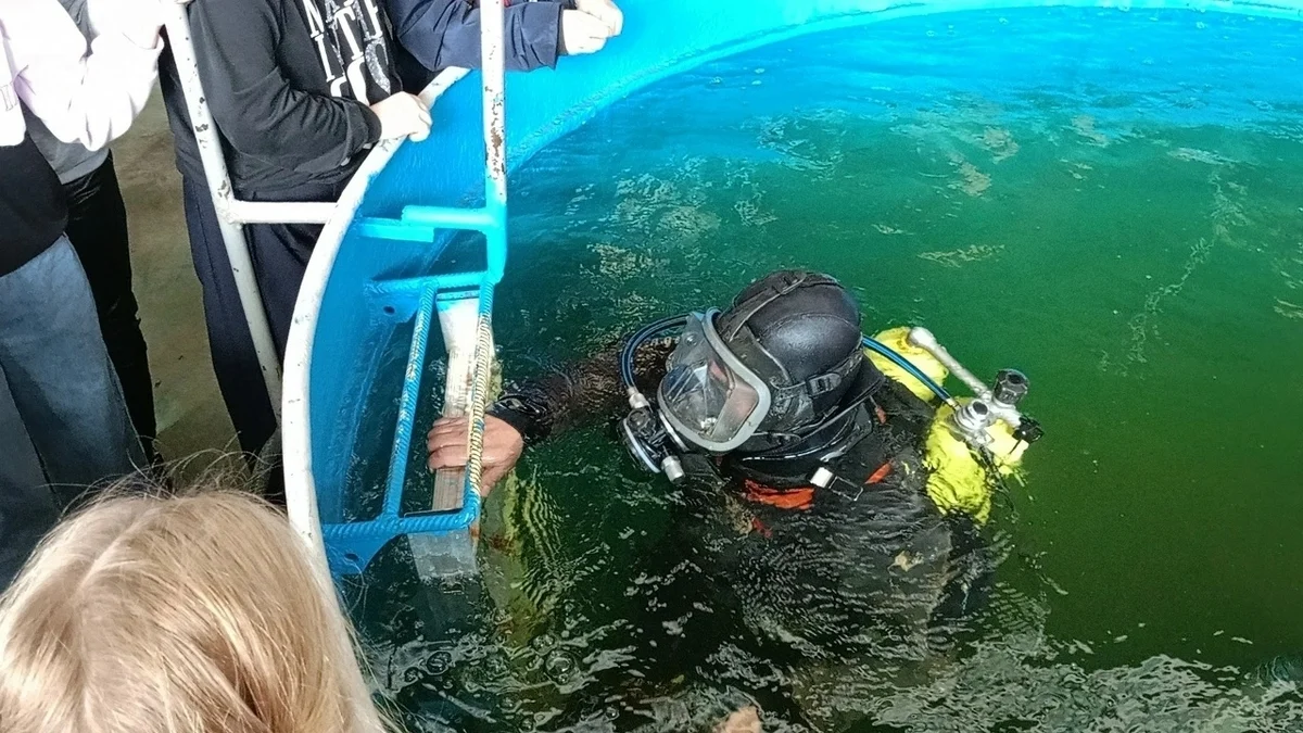 Афиша «Экскурсия на Водолазный полигон»