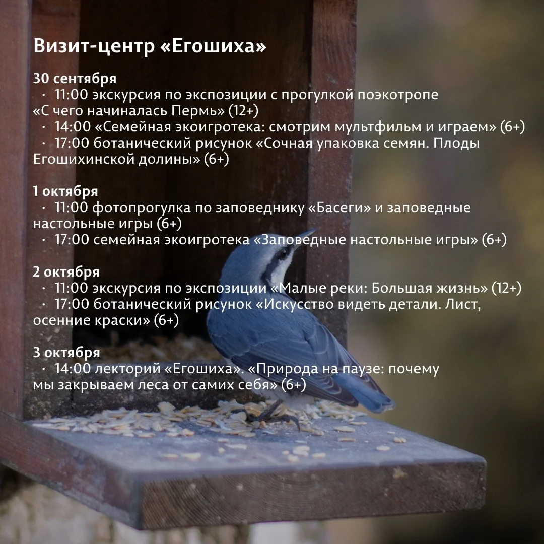 Афиша «Фотопрогулка по заповеднику «Басеги» и настольные игры»