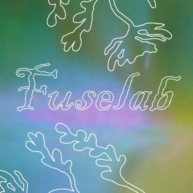 Афиша «FUSELAB — ночной фестиваль в Берёзке, 13.11»