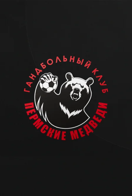Афиша «Гандбол. Пермские Медведи.»