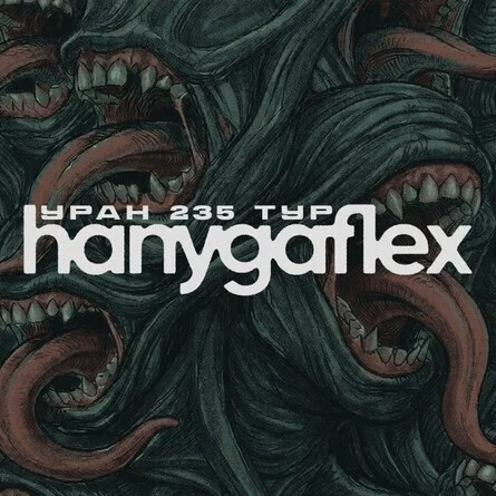 Афиша «hanygaflex | 20.11 | Воронеж»