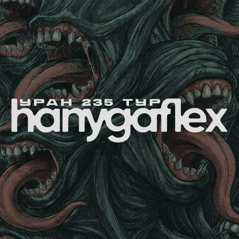 Афиша «hanygaflex | 23.10 | Тольятти»