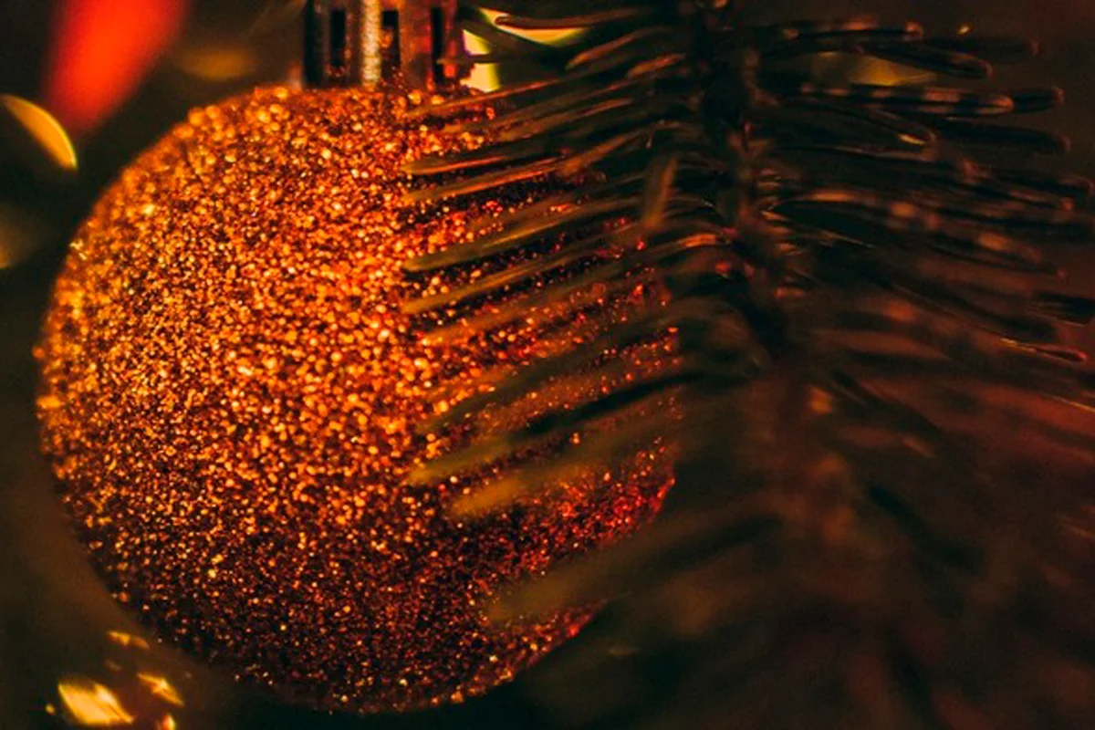 Афиша «HAPPY NEW YEAR. Концерт в Оранжерее при Свечах»