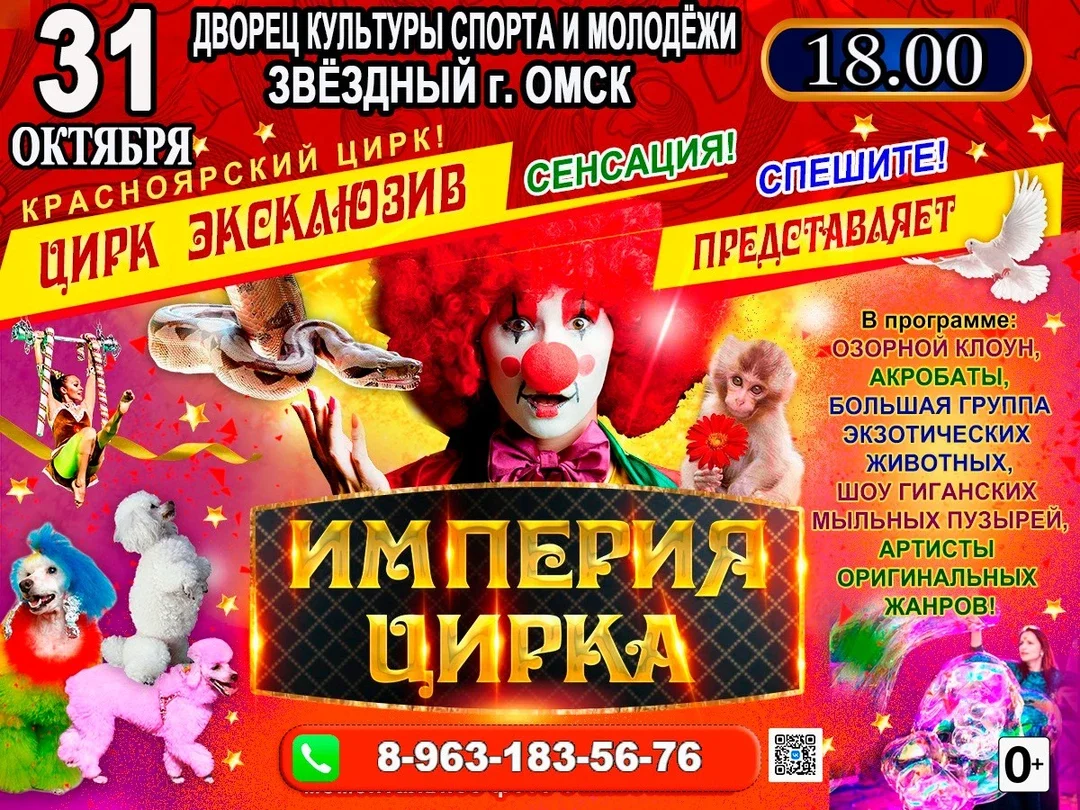 Афиша «ИМПЕРИЯ ЦИРКА ДКСМ ЗВЁЗДНЫЙ»