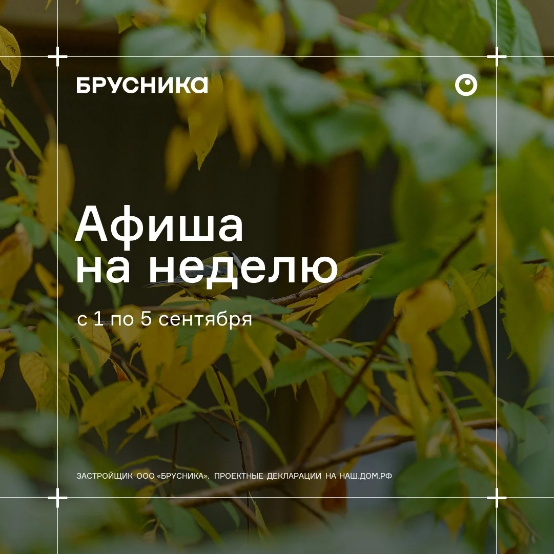 Афиша «Инвест-тур в Речной порт»