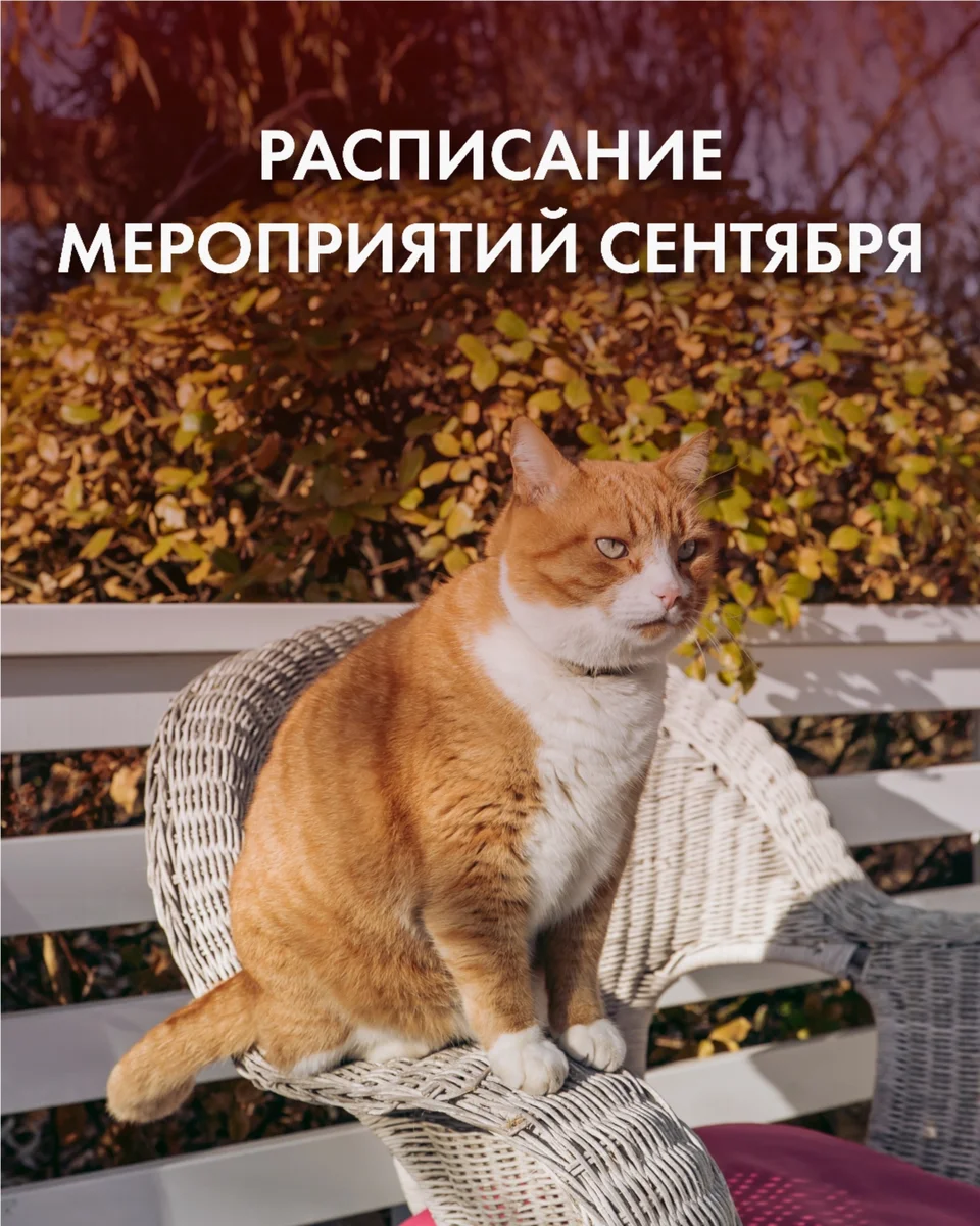 Афиша «Йога с Ксенией Кайль»