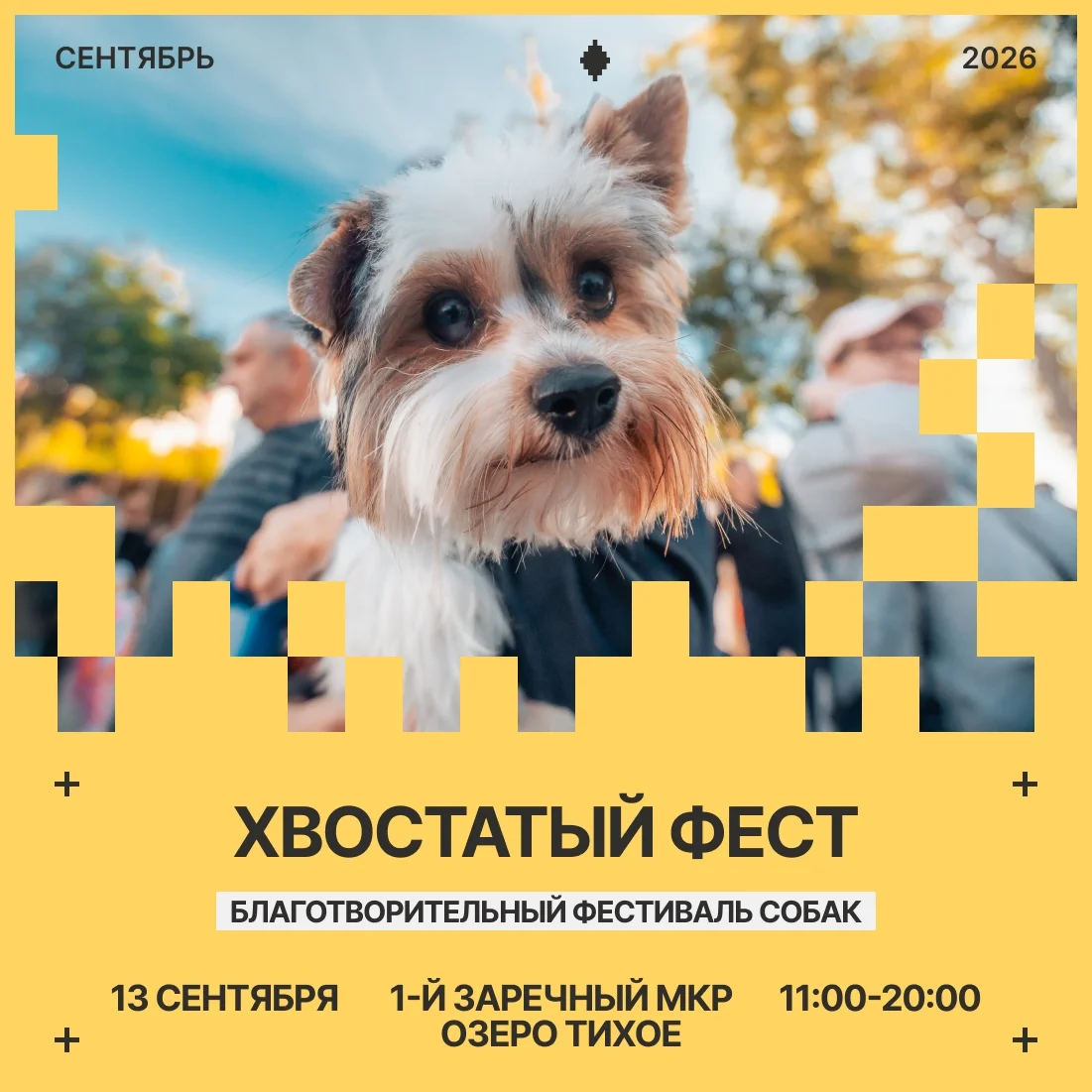 Афиша «Хвостатый фест»