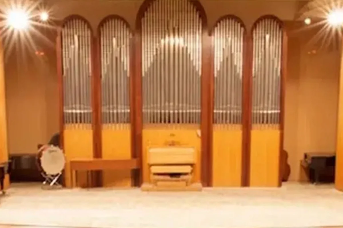 Афиша «Концерты в Органном зале им. Алисы Дебольской»