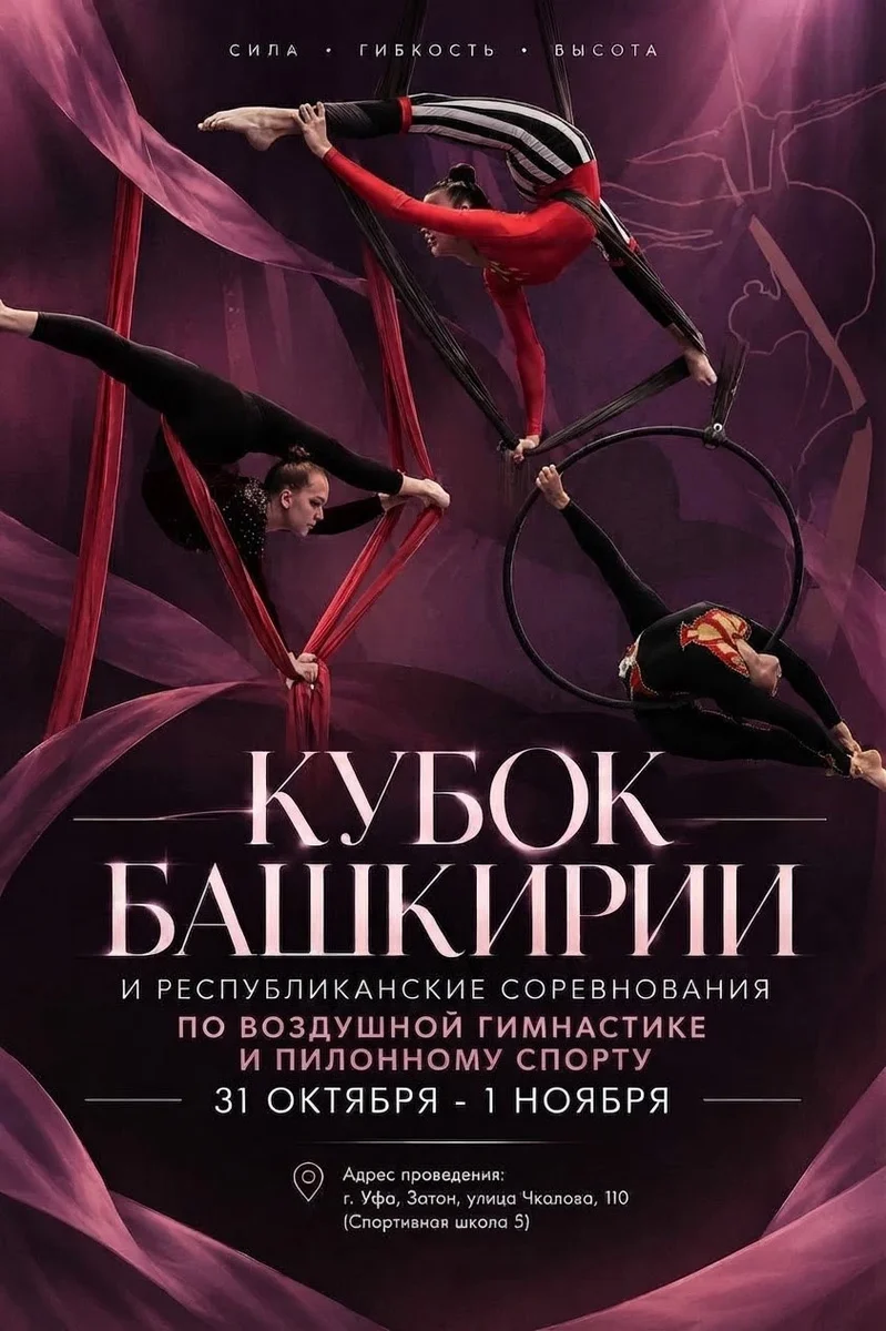 Афиша «Кубок РБ по воздушной гимнастике и пилонному спорту 2026»
