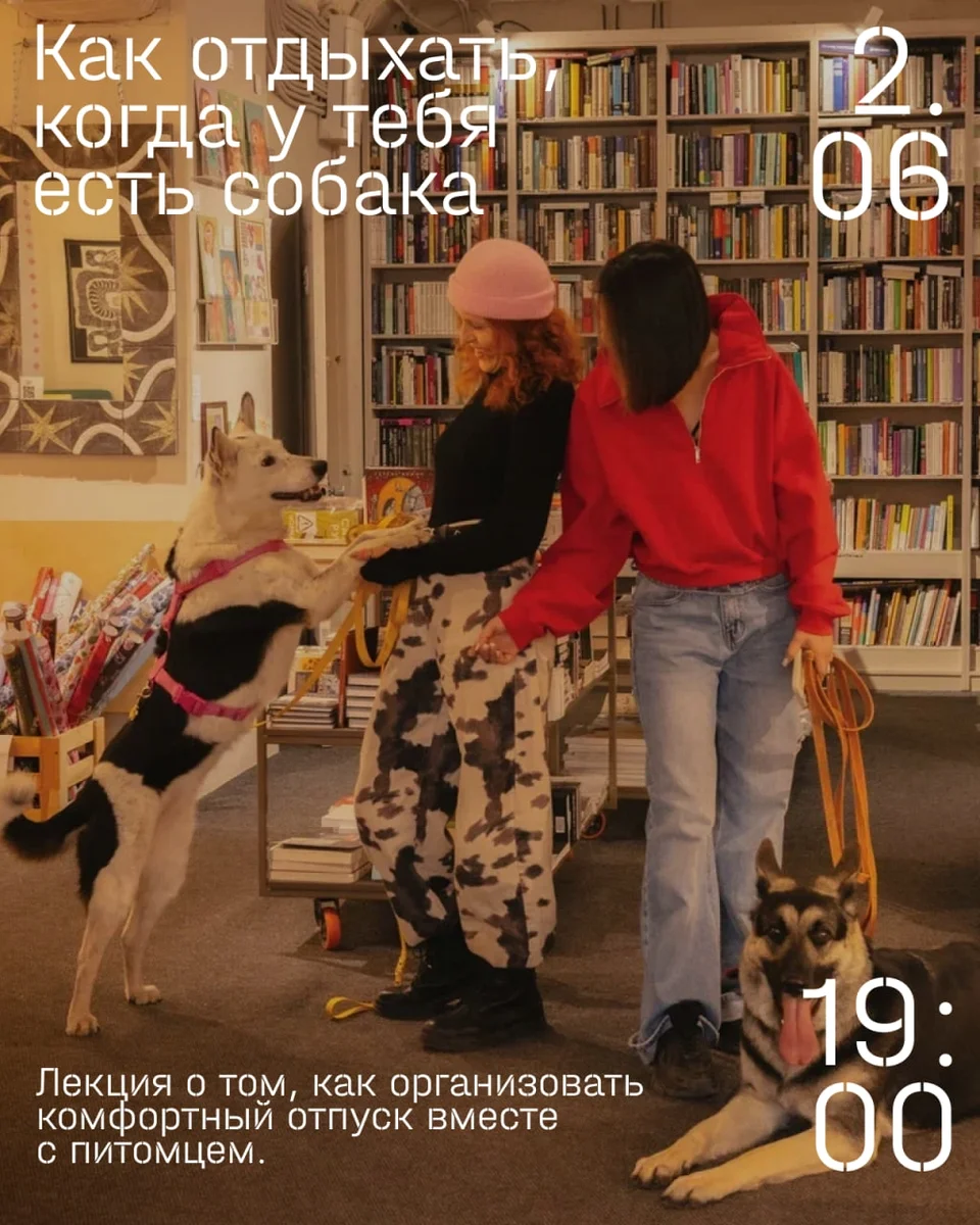 Афиша «Лекция «Как отдыхать, когда у тебя есть собака»»