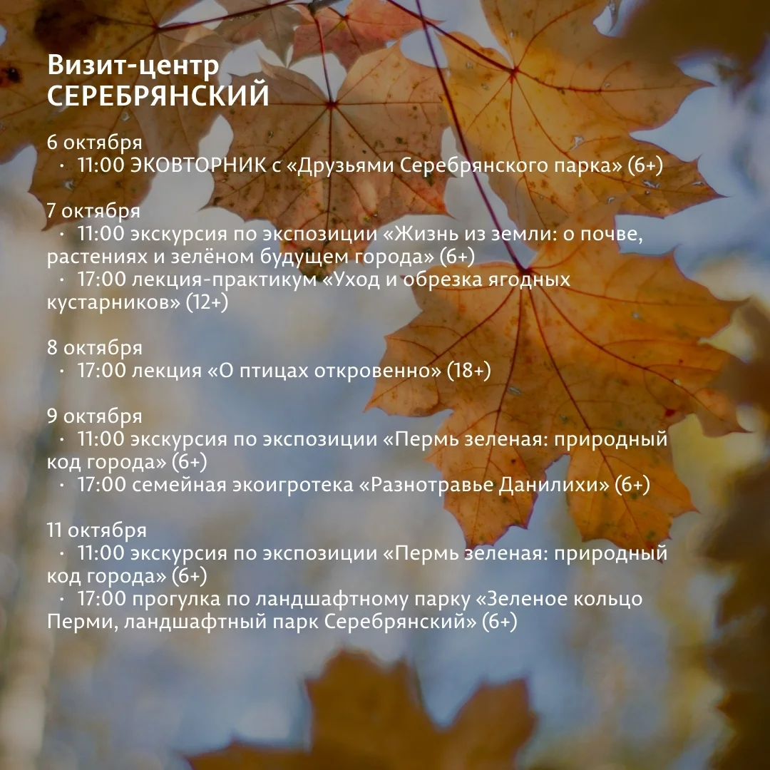 Афиша «Лекция «О птицах откровенно»»