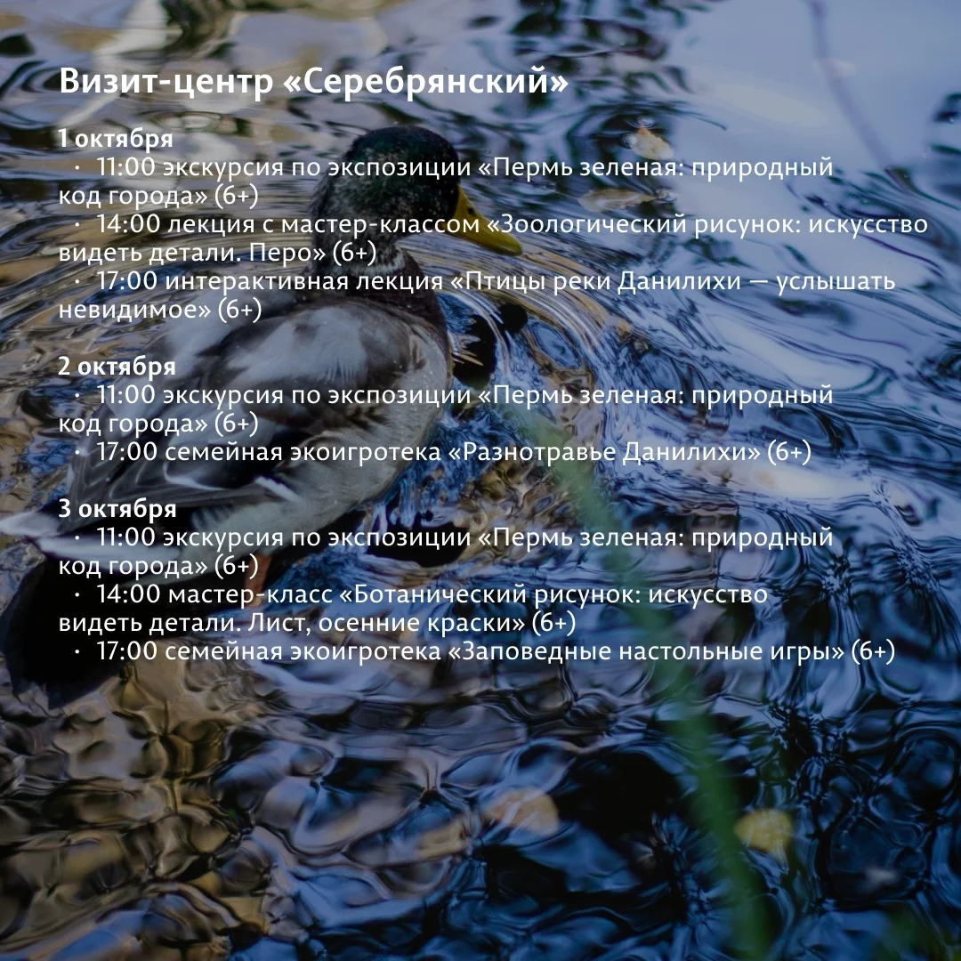 Афиша «Лекция с мастер-классом «Зоологический рисунок: искусство видеть детали. Перо»»