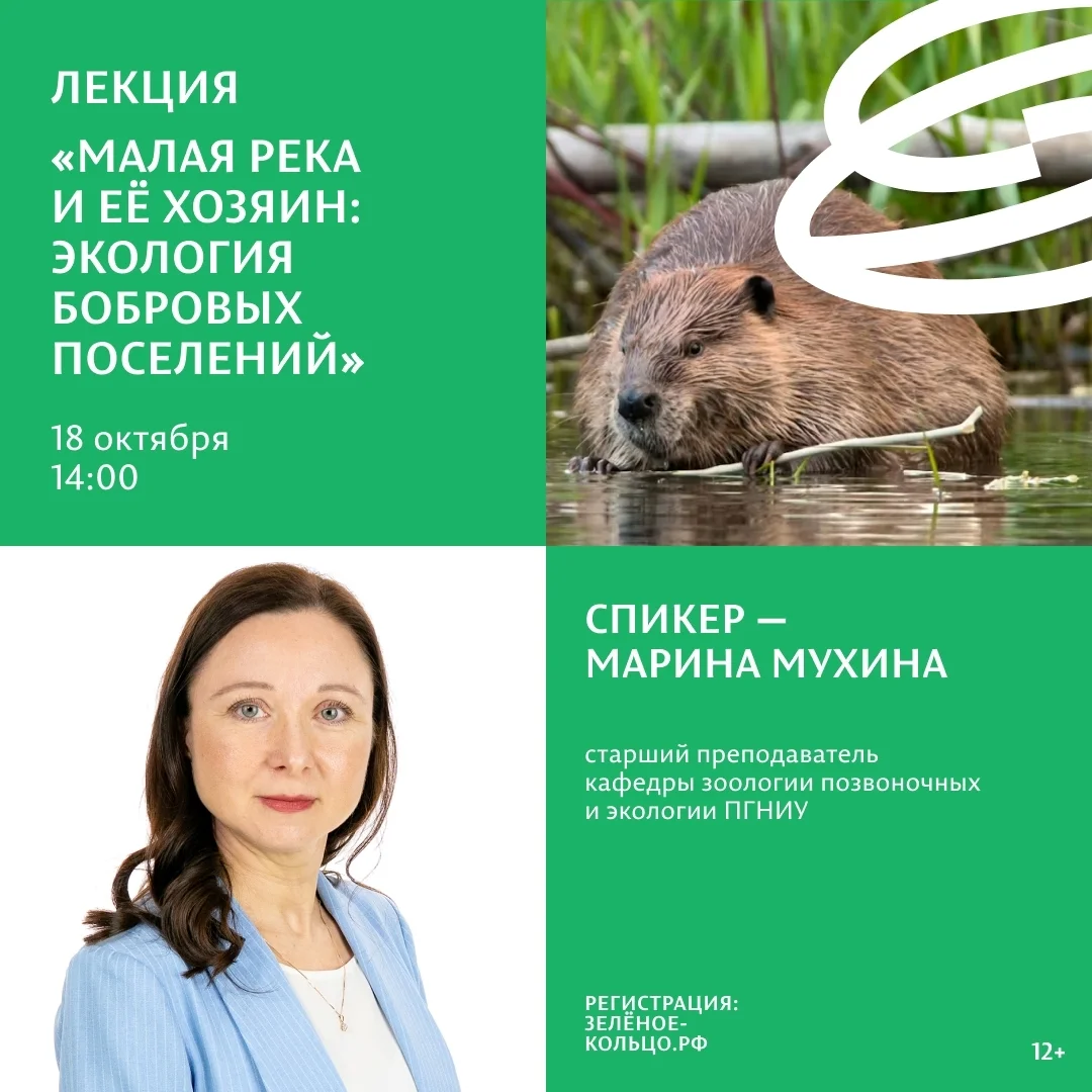Афиша «Малая река и её хозяин: экология бобровых поселений»