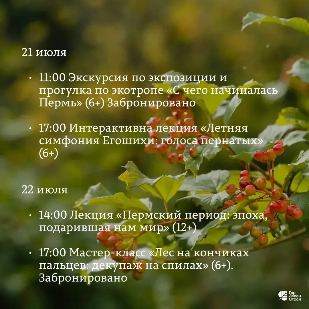 Афиша «Мастер-класс «Лес на кончиках пальцев: декупаж на спилах»»