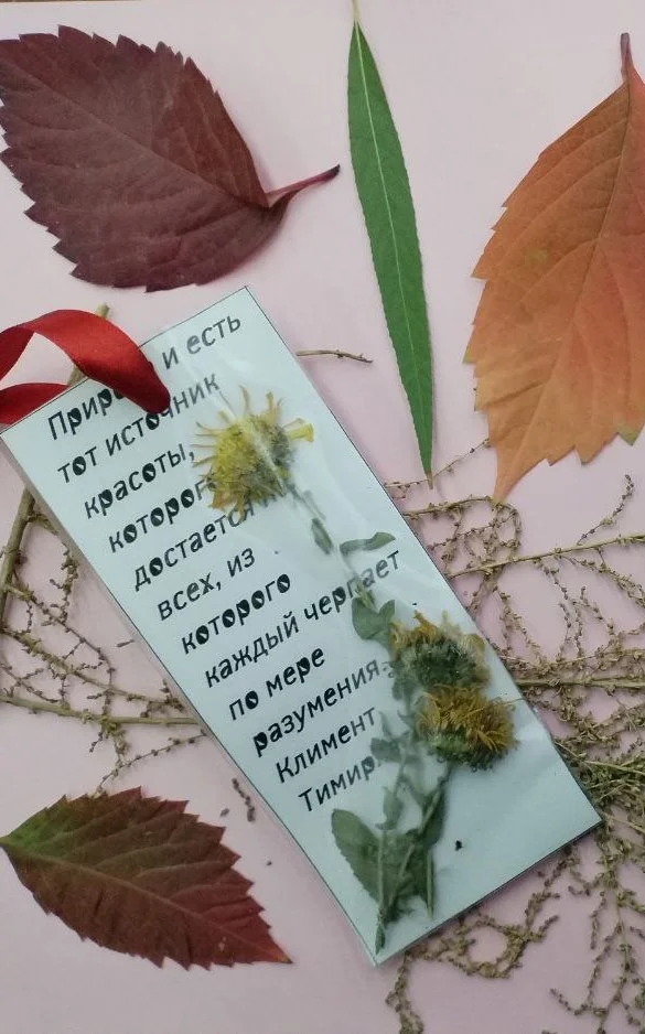 Афиша «Мастер-класс по изготовлению закладки-гербария: Остановись, мгновение»