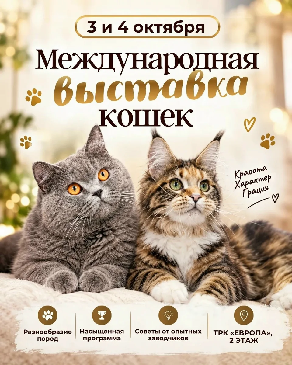 Афиша «Международная выставка кошек»